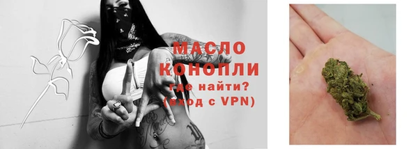мяу мяу мука Гусев