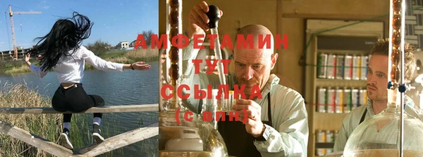 мяу мяу мука Гусев