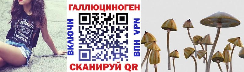 мега маркетплейс  Дзержинский  Псилоцибиновые грибы ЛСД 