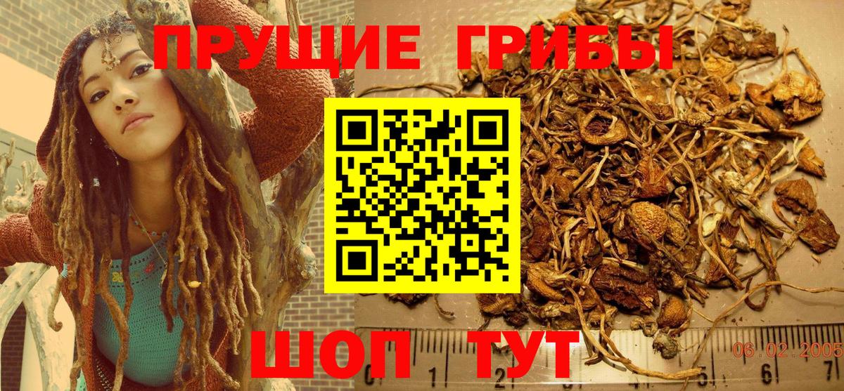 Галлюциногенные грибы GOLDEN TEACHER  Дзержинский 