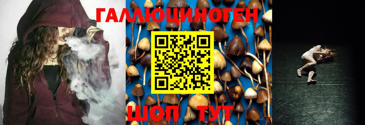 Псилоцибиновые грибы Magic Shrooms Дзержинский