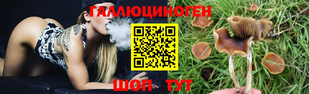 Галлюциногенные грибы GOLDEN TEACHER Дзержинский