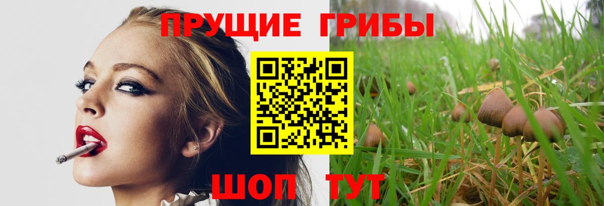 Дзержинский  Галлюциногенные грибы Cubensis  Галлюциногенные грибы ЛСД  Вход с VPN 